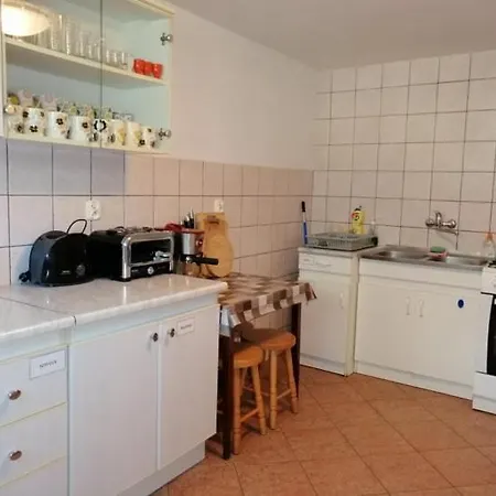 Arnika Krynica Zdroj